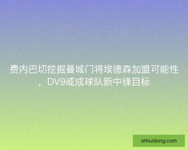 费内巴切挖掘曼城门将埃德森加盟可能性，DV9或成球队新中锋目标