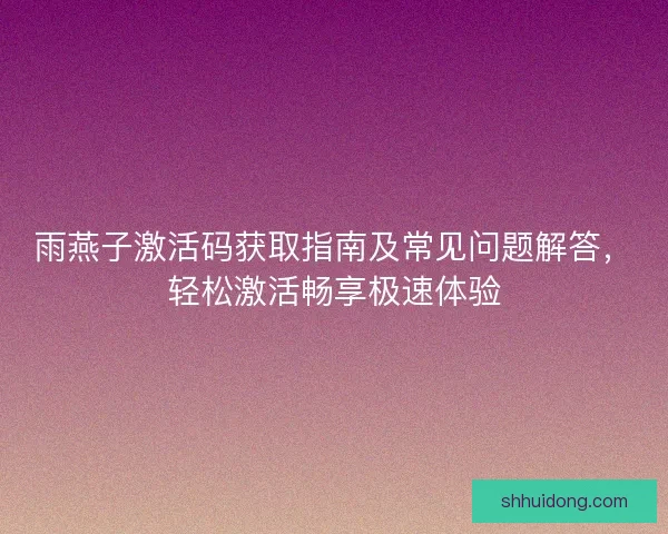雨燕子激活码获取指南及常见问题解答，轻松激活畅享极速体验
