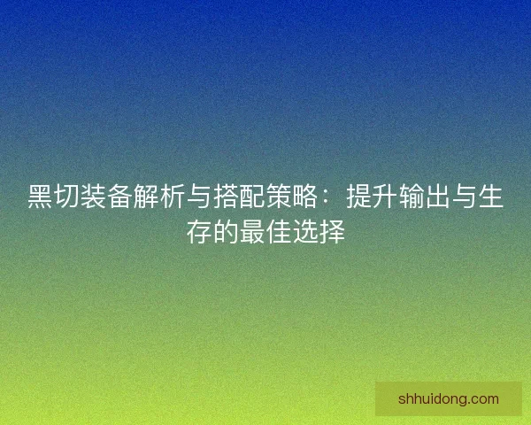 黑切装备解析与搭配策略：提升输出与生存的最佳选择