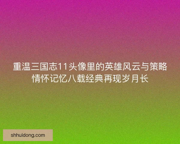 重温三国志11头像里的英雄风云与策略情怀记忆八载经典再现岁月长