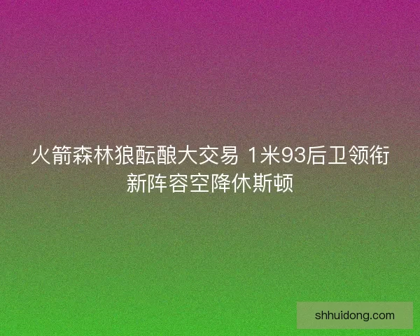 火箭森林狼酝酿大交易 1米93后卫领衔新阵容空降休斯顿