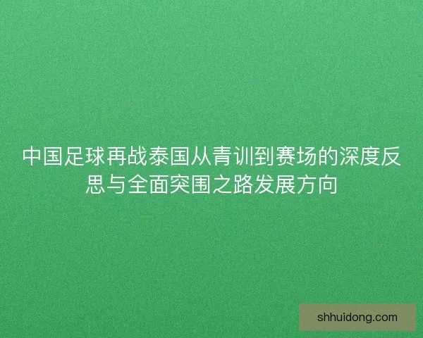 中国足球再战泰国从青训到赛场的深度反思与全面突围之路发展方向